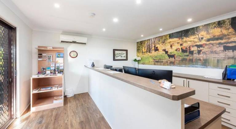 foto2