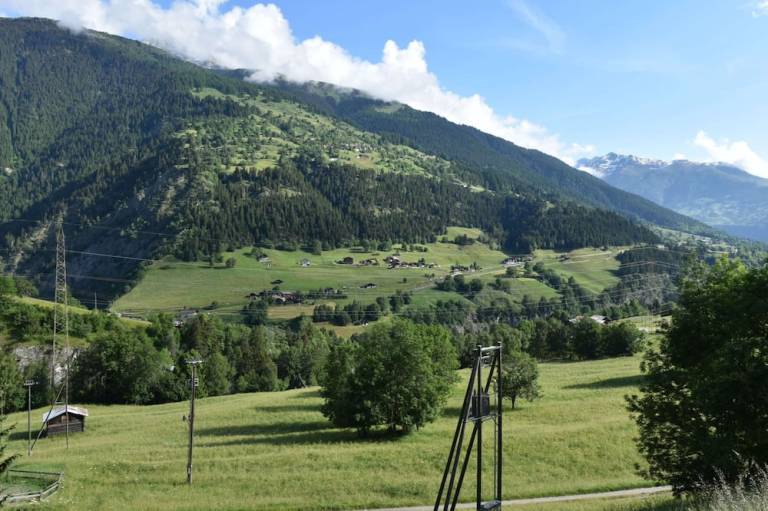 foto20