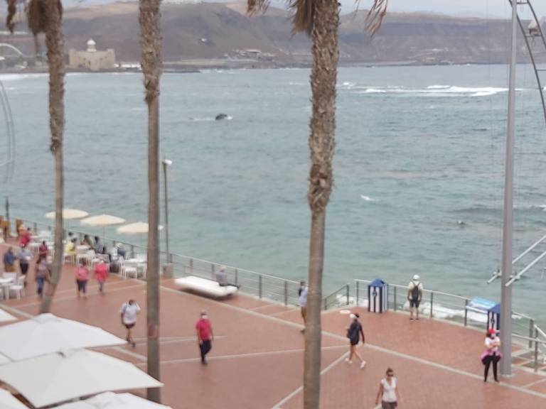 Apartament Las Palmas