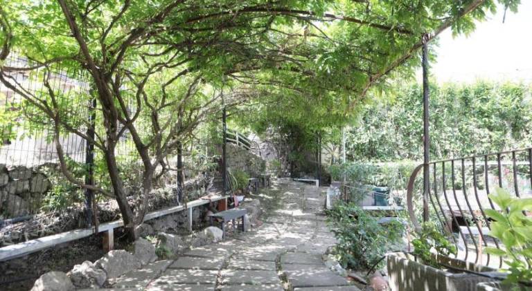Lovely holiday apartment | Pet-friendly — photo 4