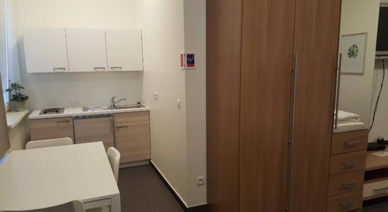 City Center Apartments Linz — photo 4