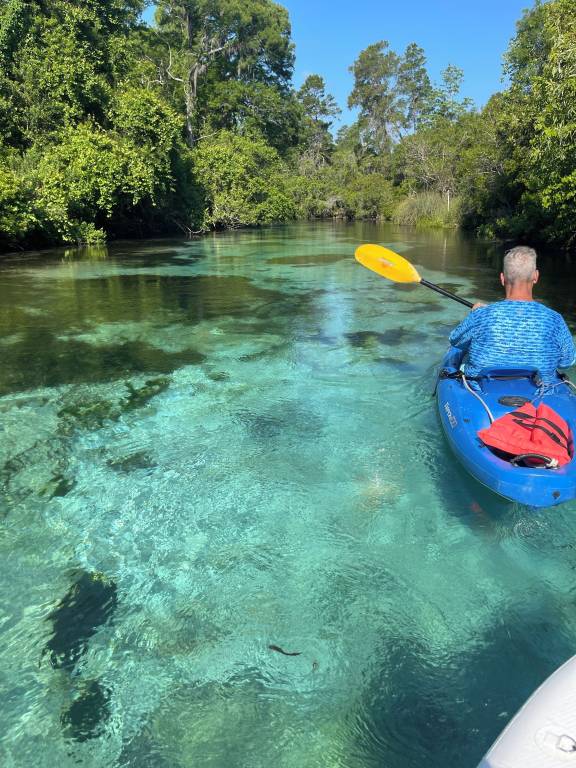 House  Weeki Wachee Gardens
