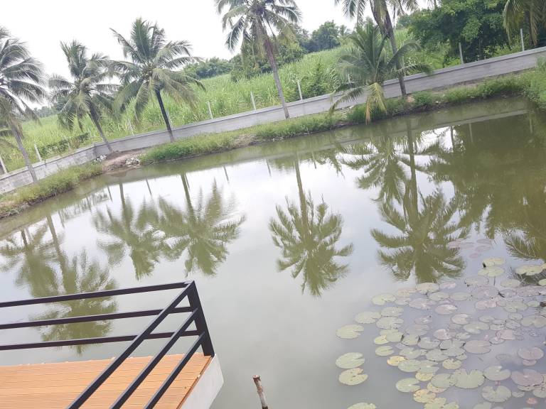 Resort  Nong Chak