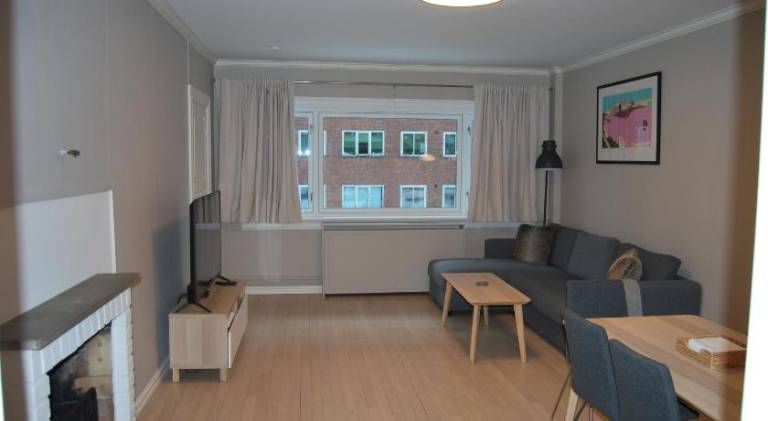 Beautiful apartment | Pets are welcome — photo 2