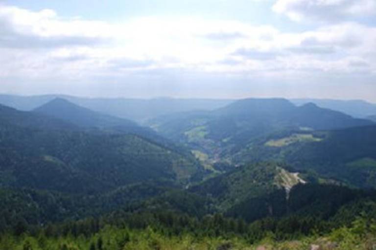 foto5