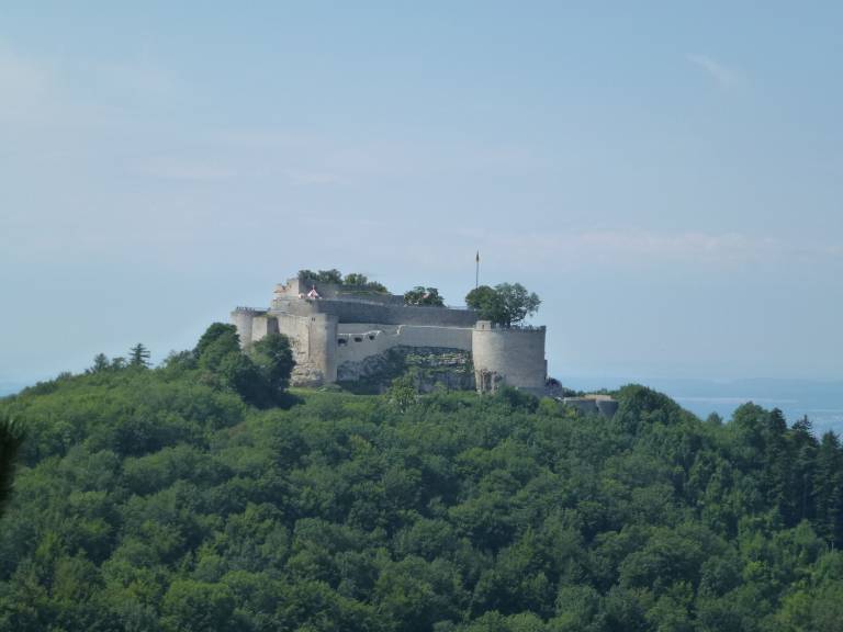 foto21