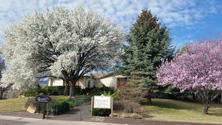 Condo  Prescott
