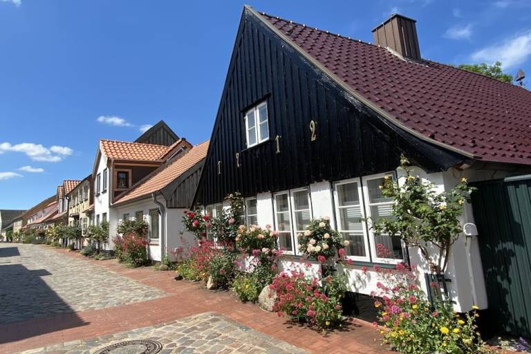 foto28