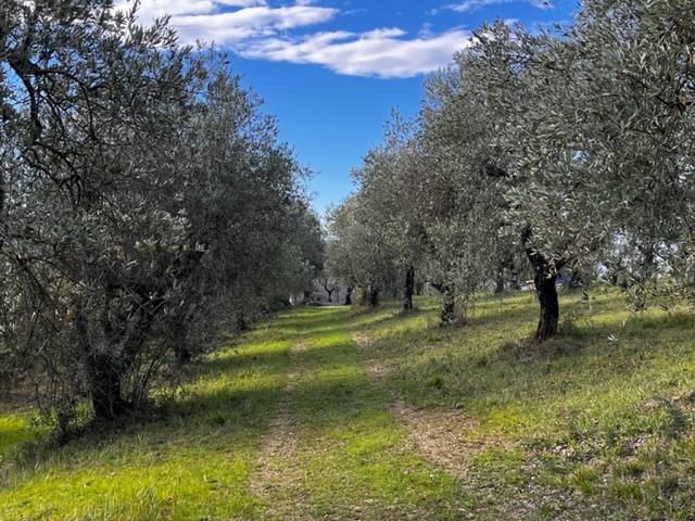 foto40