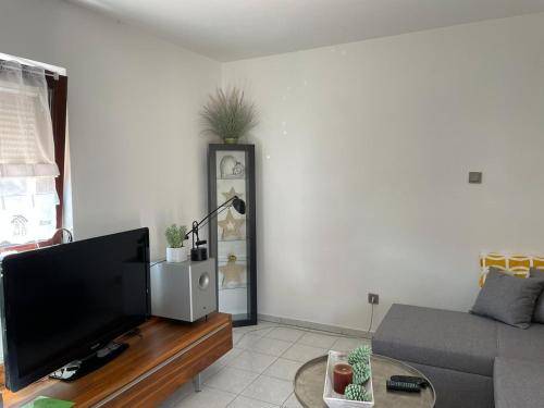 foto11