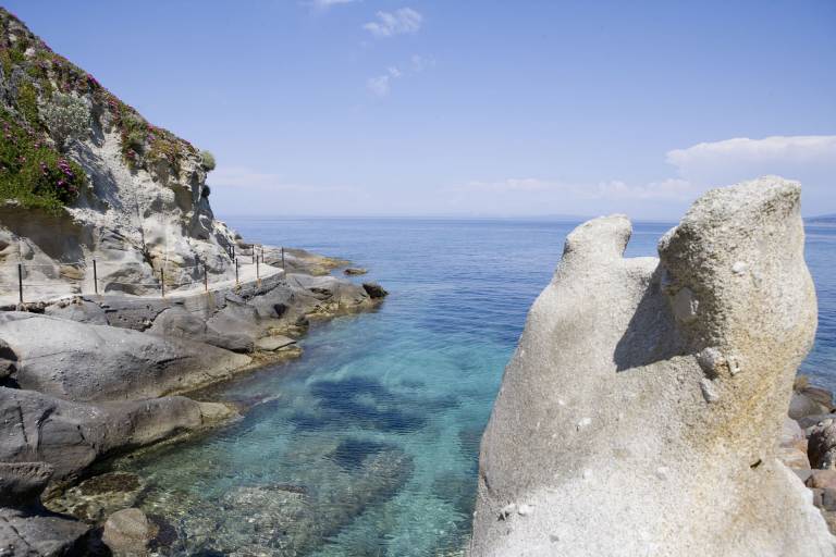 Pino Bilo Superior in Campo nell'Elba