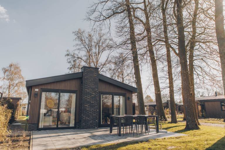 Luxury 6-person holiday home with private sauna, spacious living area and stunning meadow views. Experience comfort, nature and relaxation at Ridderstede. in Utrecht