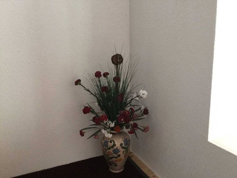foto9