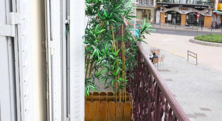 Nice apartment | Dogs allowed — photo 3
