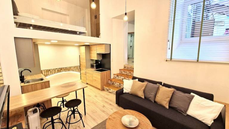 Apartament Senamiestis