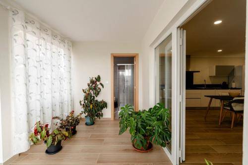 Casa Lamas de Olo