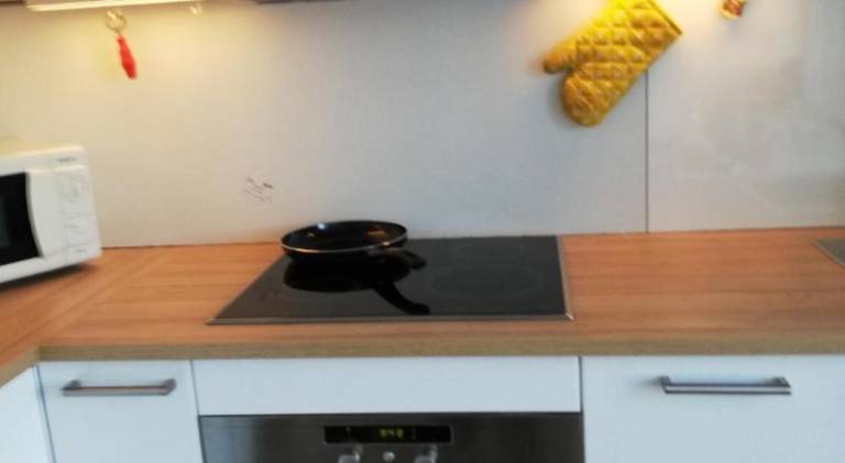 Beautiful rental apartment | Near Botanical Gardens | Dogs allowed — photo 5