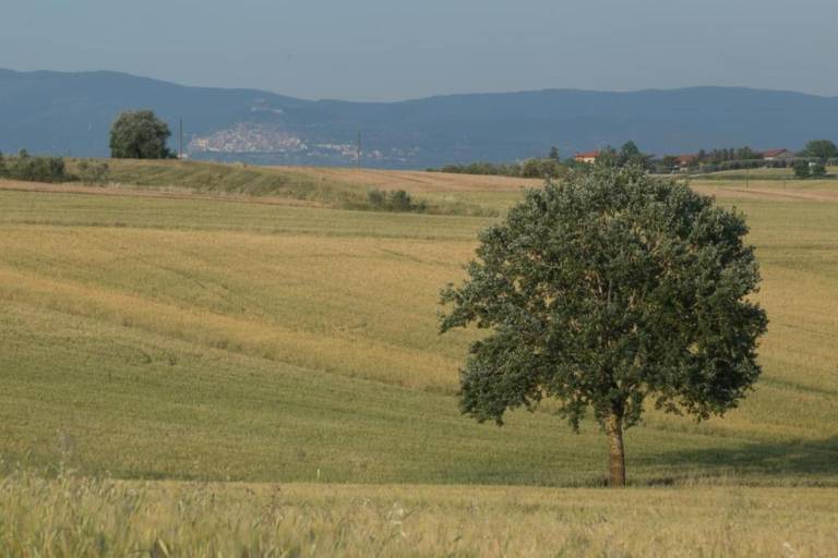 foto20