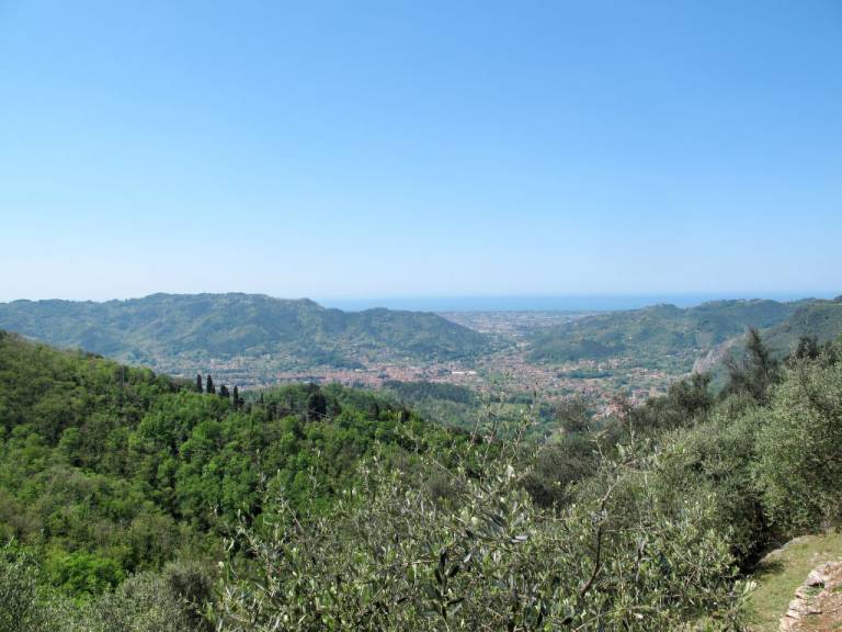 foto4