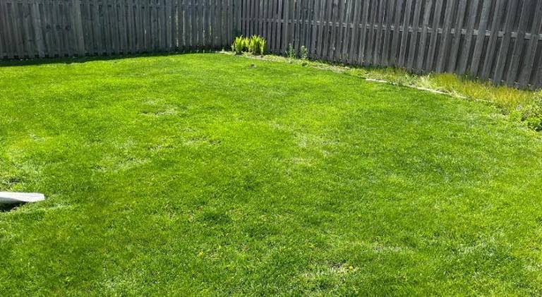 foto35