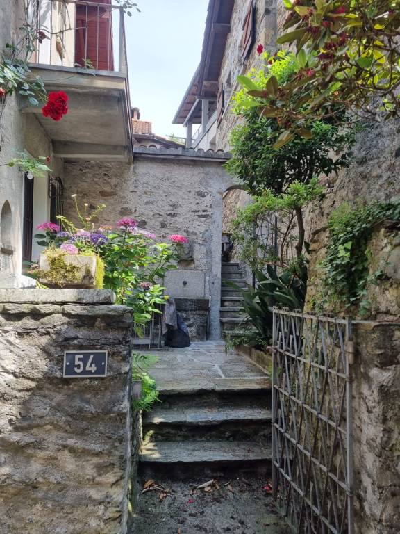 foto21