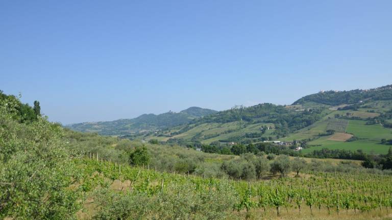 foto9