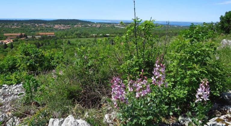 foto41