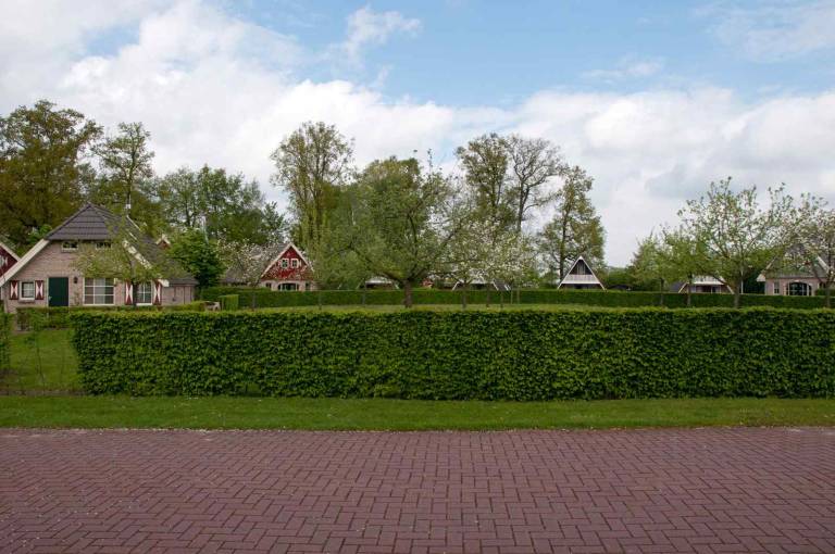 foto12
