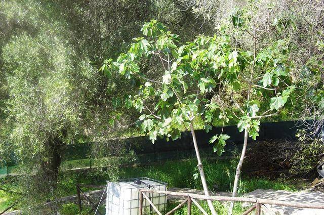 foto41
