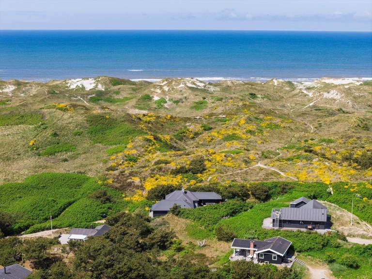Ferienhaus Henne Strand