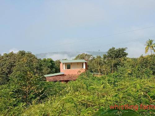 Farmhouse Chiplun