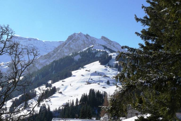 foto2