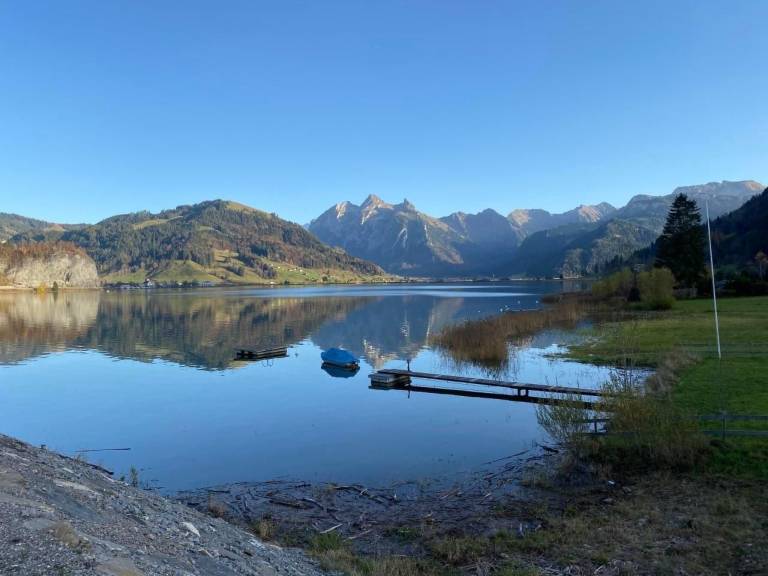 Ferienhaus mit Hund in Einsiedeln, Zentralschweiz f&uuml;r max. 4 Personen
