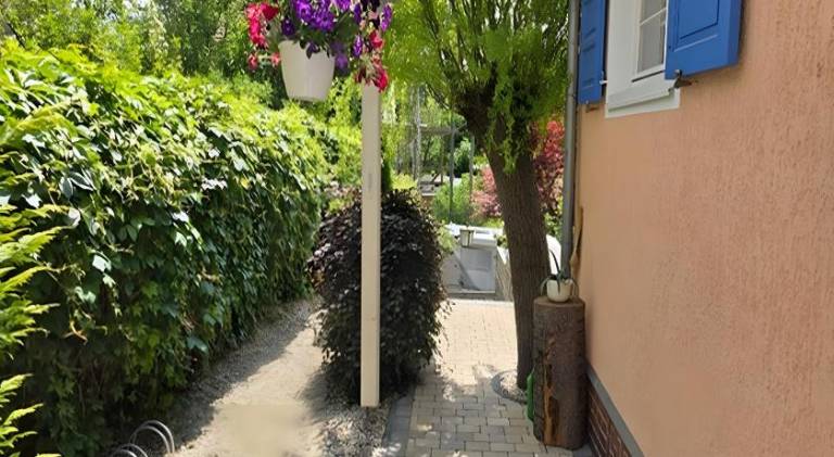 foto29
