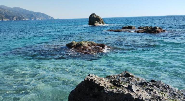 Rental apartment with 1 room for 4 persons in Vernazza