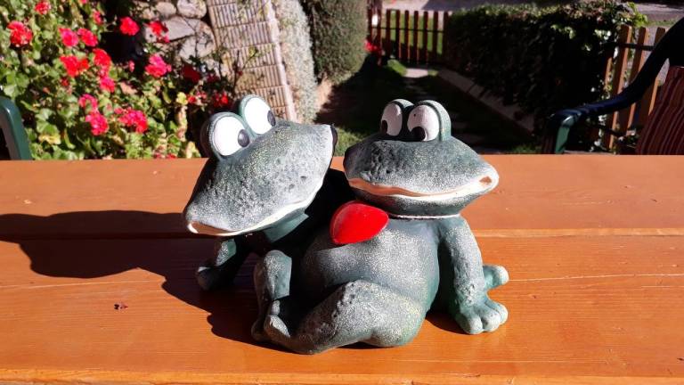 foto15