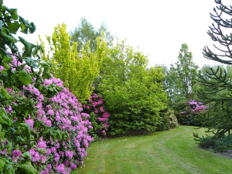 foto49