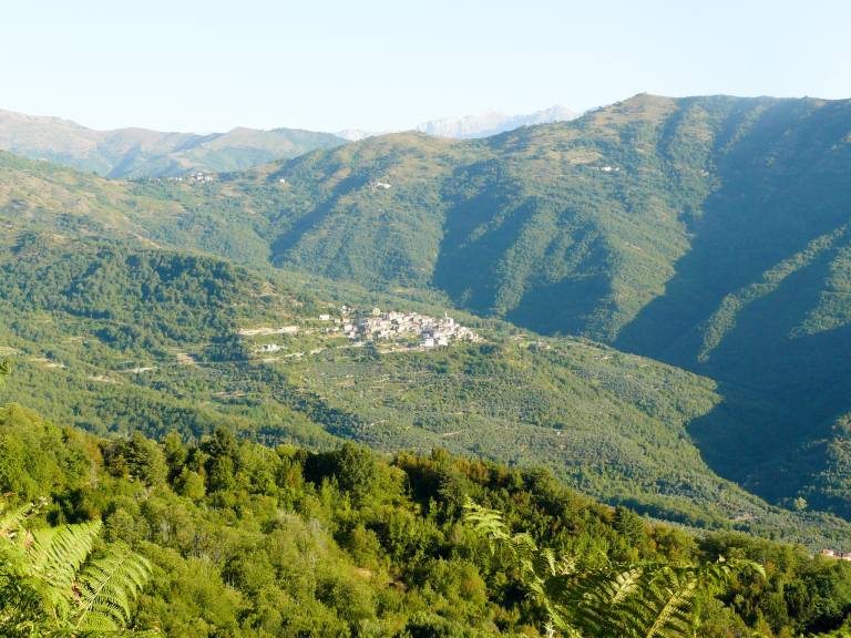 foto11