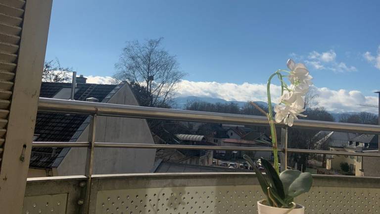 Ferienwohnung  Bad Aibling