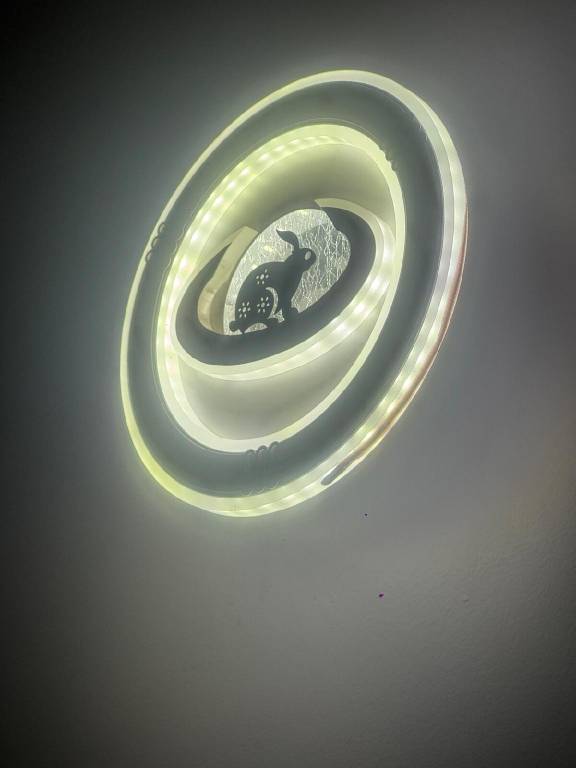 foto19