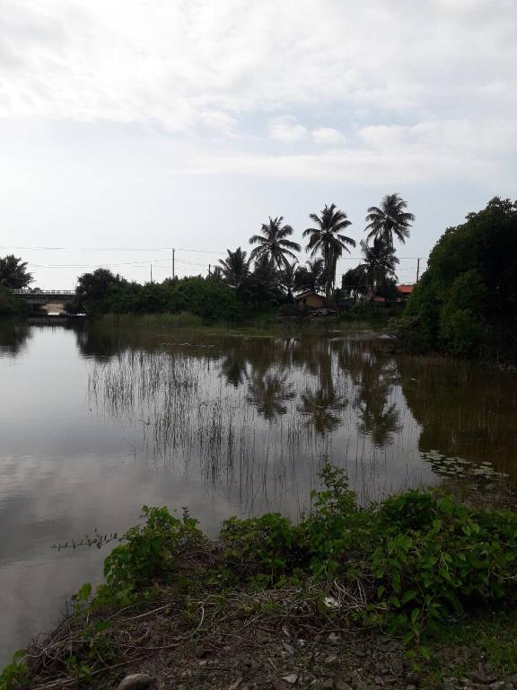 Villa 47 Akurala Enjoy the Indian Ocean — photo 5