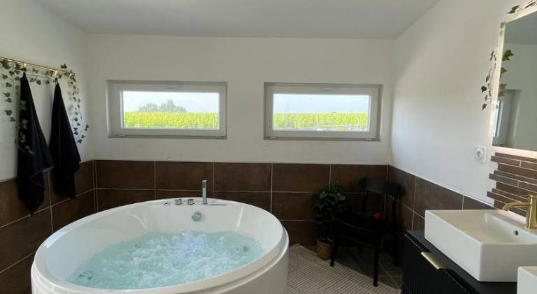 Villa with jacuzzi in Nantes