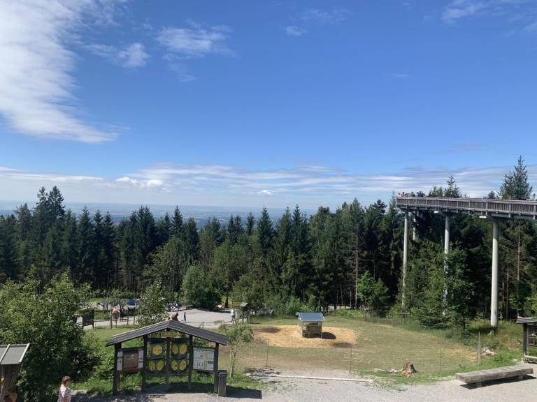 foto4