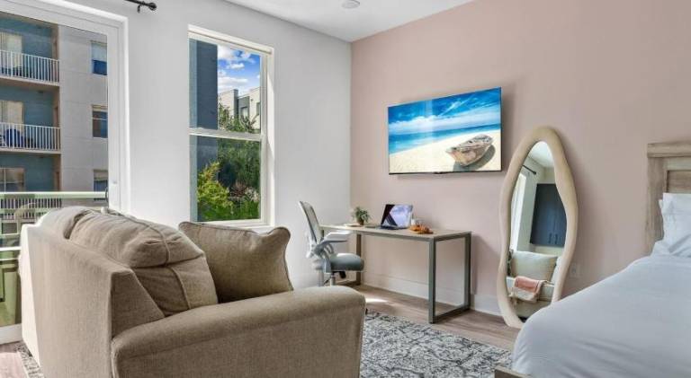 Wonderful holiday apartment with pool | Good for workation | Pets allowed in Tampa, FL