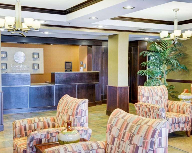 Comfort Inn & Suites Russellville I-40 — photo 5