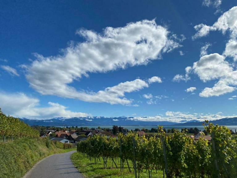 foto10
