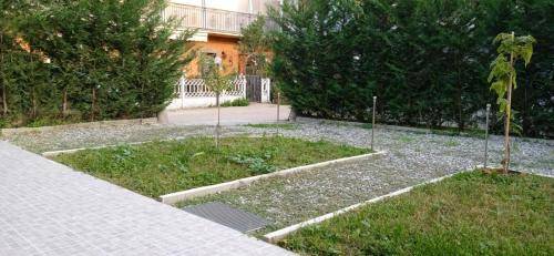 foto11