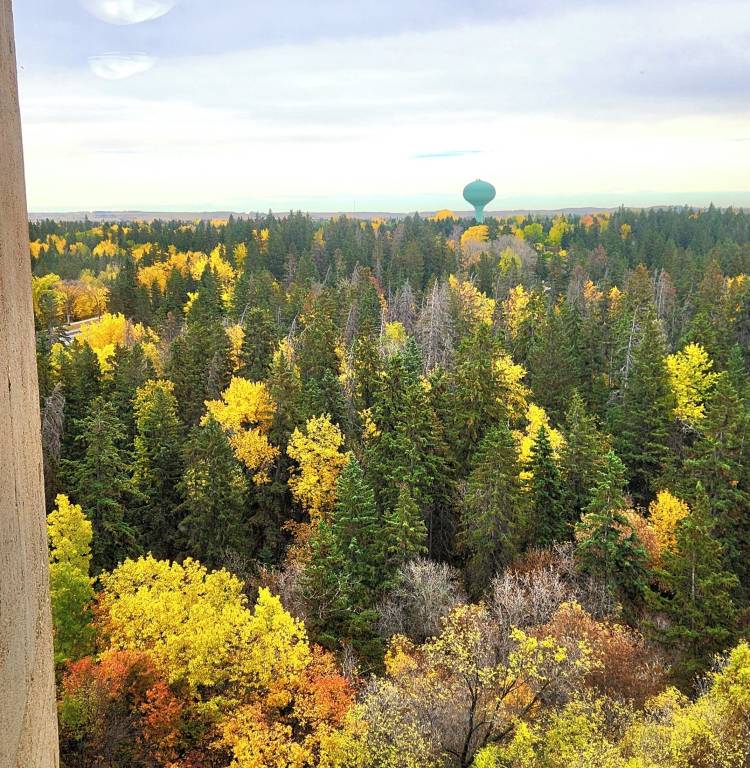 Condo  Red Deer