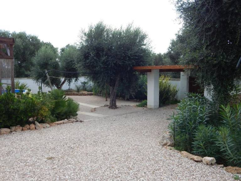 foto4