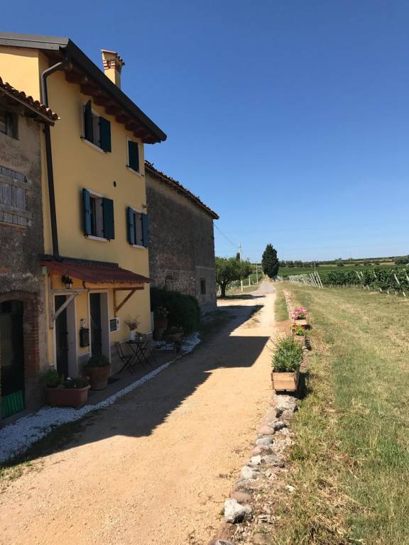 foto15